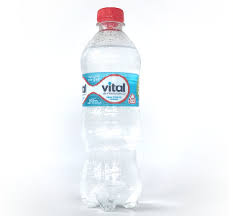 Vital Sin Gas 600 Ml