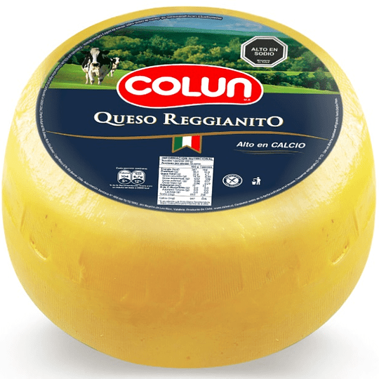 Queso Parmesano Granel Reggianito KG